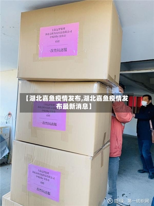 【湖北嘉鱼疫情发布,湖北嘉鱼疫情发布最新消息】-第2张图片