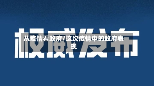 从疫情看政府/这次疫情中的政府表现