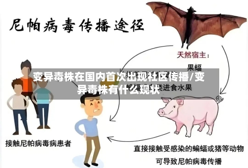 变异毒株在国内首次出现社区传播/变异毒株有什么现状