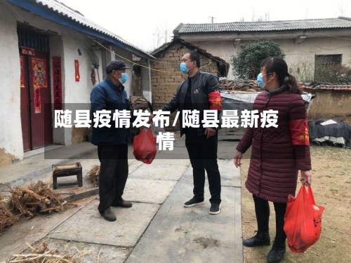随县疫情发布/随县最新疫情-第2张图片