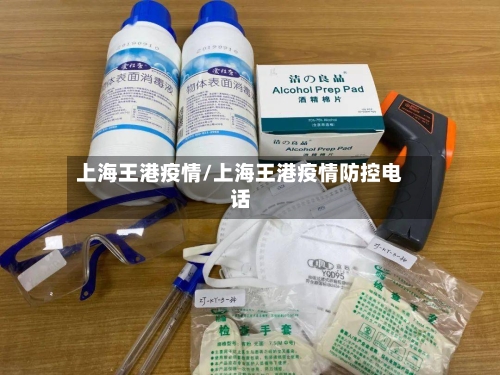 上海王港疫情/上海王港疫情防控电话-第2张图片