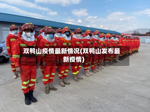 双鸭山疫情最新情况(双鸭山发布最新疫情)-第2张图片