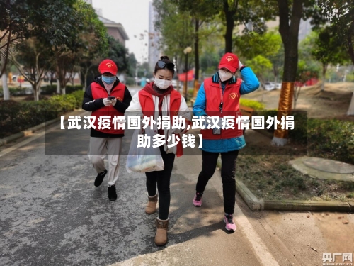 【武汉疫情国外捐助,武汉疫情国外捐助多少钱】-第2张图片