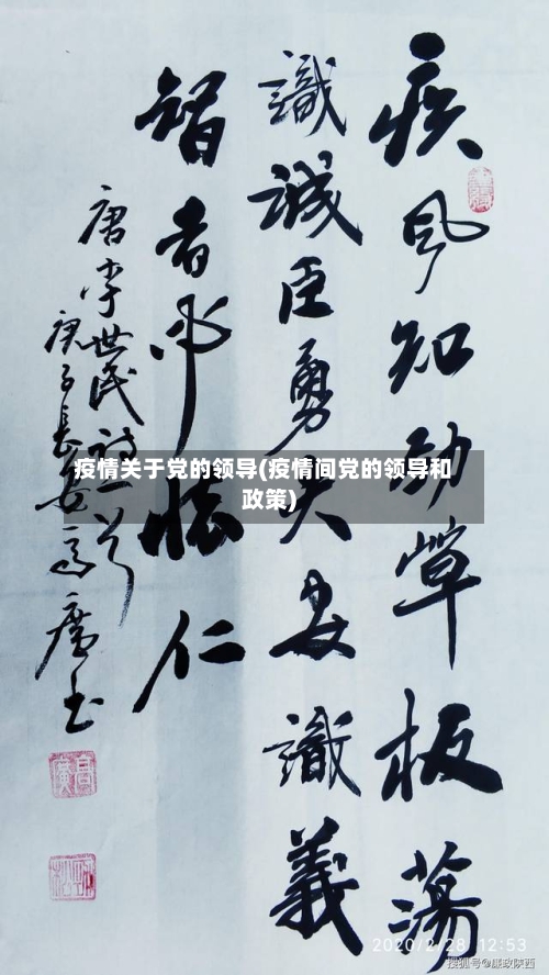 疫情关于党的领导(疫情间党的领导和政策)-第2张图片