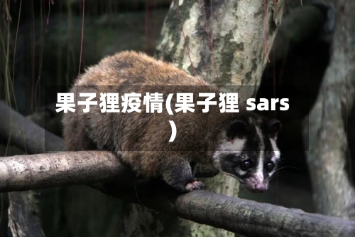 果子狸疫情(果子狸 sars)