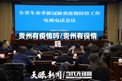 贵州有疫情吗/贵州有役情吗