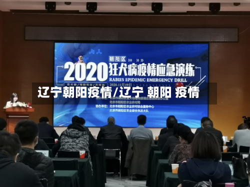 辽宁朝阳疫情/辽宁 朝阳 疫情-第2张图片