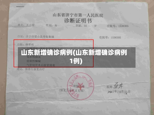 山东新增确诊病例(山东新增确诊病例1例)-第2张图片