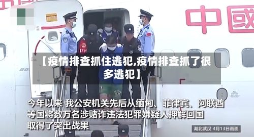 【疫情排查抓住逃犯,疫情排查抓了很多逃犯】