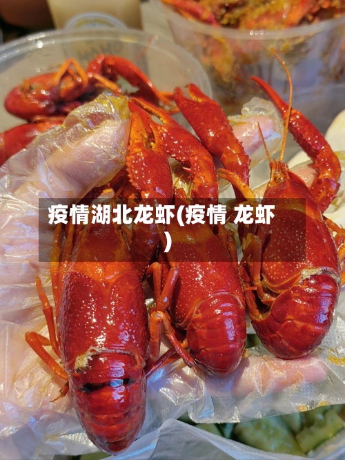 疫情湖北龙虾(疫情 龙虾)