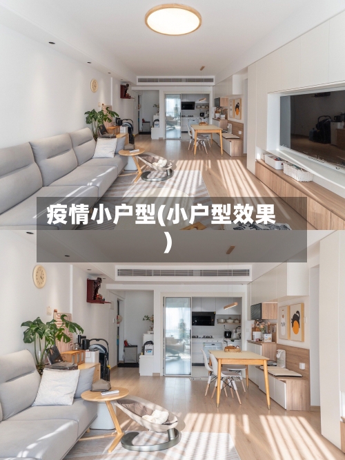 疫情小户型(小户型效果)