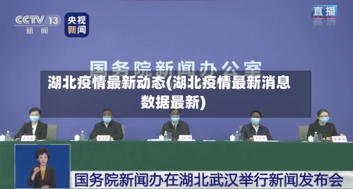 湖北疫情最新动态(湖北疫情最新消息数据最新)