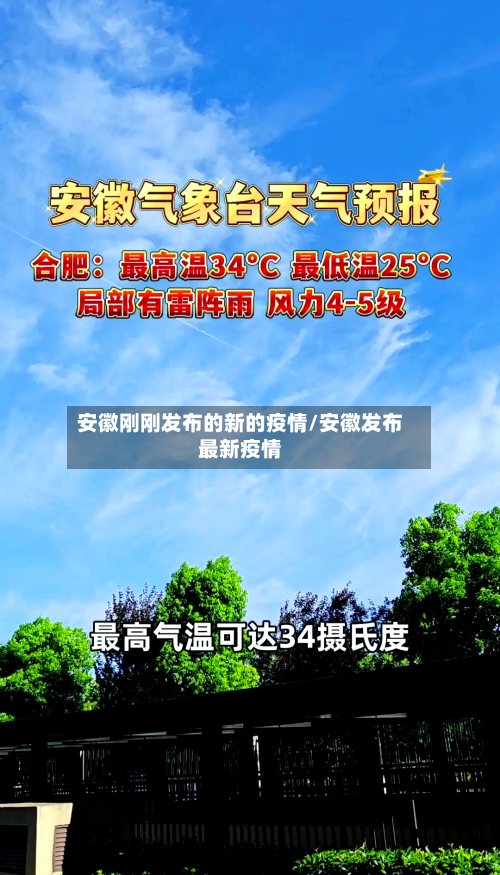 安徽刚刚发布的新的疫情/安徽发布最新疫情