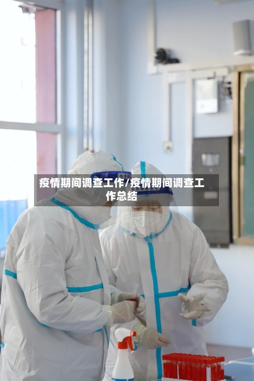 疫情期间调查工作/疫情期间调查工作总结