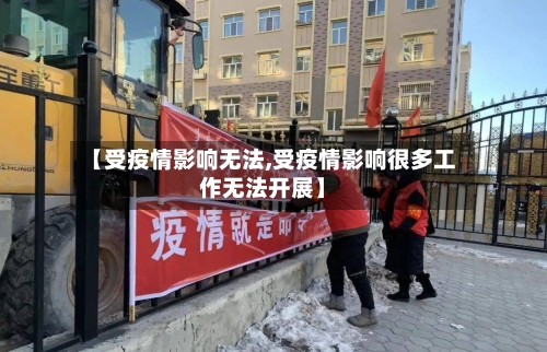 【受疫情影响无法,受疫情影响很多工作无法开展】-第2张图片