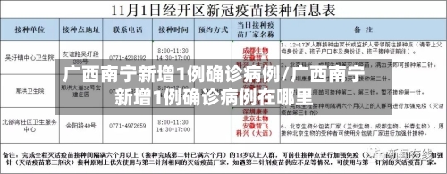 广西南宁新增1例确诊病例/广西南宁新增1例确诊病例在哪里-第2张图片