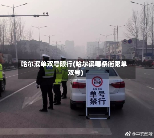 哈尔滨单双号限行(哈尔滨哪条街限单双号)-第2张图片