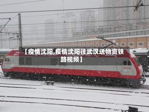 【疫情沈阳,疫情沈阳往武汉送物资铁路视频】-第2张图片