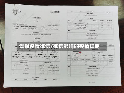 谎报疫情征信/征信影响的疫情证明