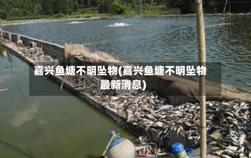 嘉兴鱼塘不明坠物(嘉兴鱼塘不明坠物最新消息)-第3张图片