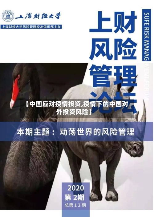 【中国应对疫情投资,疫情下的中国对外投资风险】