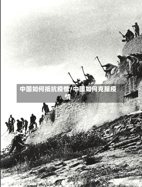 中国如何抵抗疫情/中国如何克服疫情-第2张图片