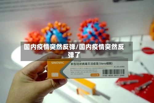 国内疫情突然反弹/国内疫情突然反弹了-第2张图片