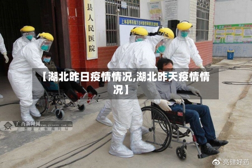【湖北昨日疫情情况,湖北昨天疫情情况】-第3张图片