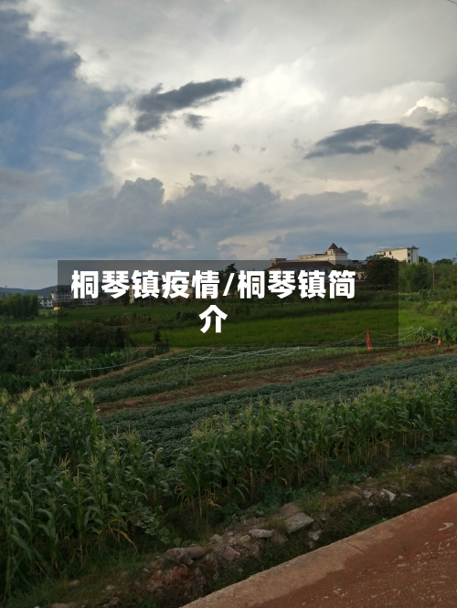 桐琴镇疫情/桐琴镇简介
