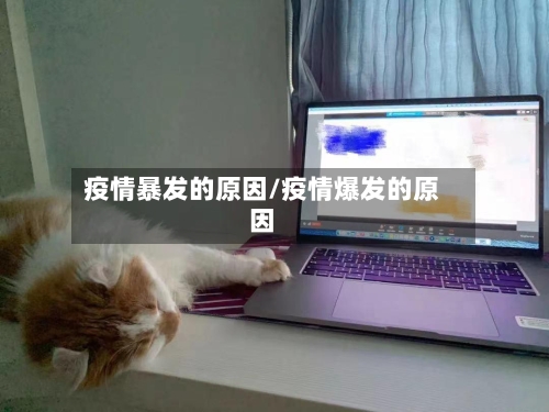 疫情暴发的原因/疫情爆发的原因-第3张图片