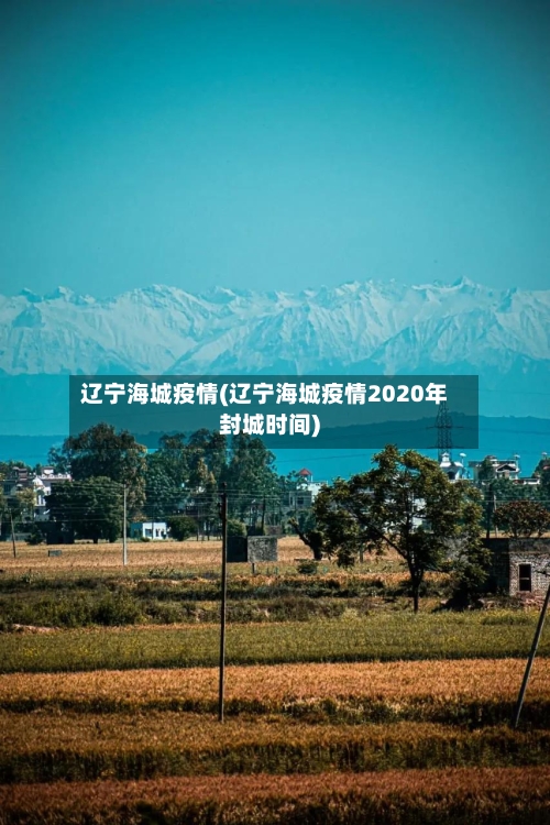 辽宁海城疫情(辽宁海城疫情2020年封城时间)