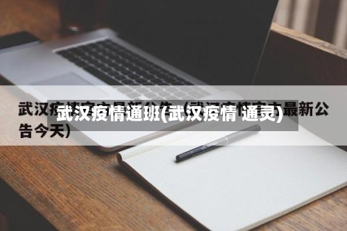 武汉疫情通班(武汉疫情 通灵)-第3张图片