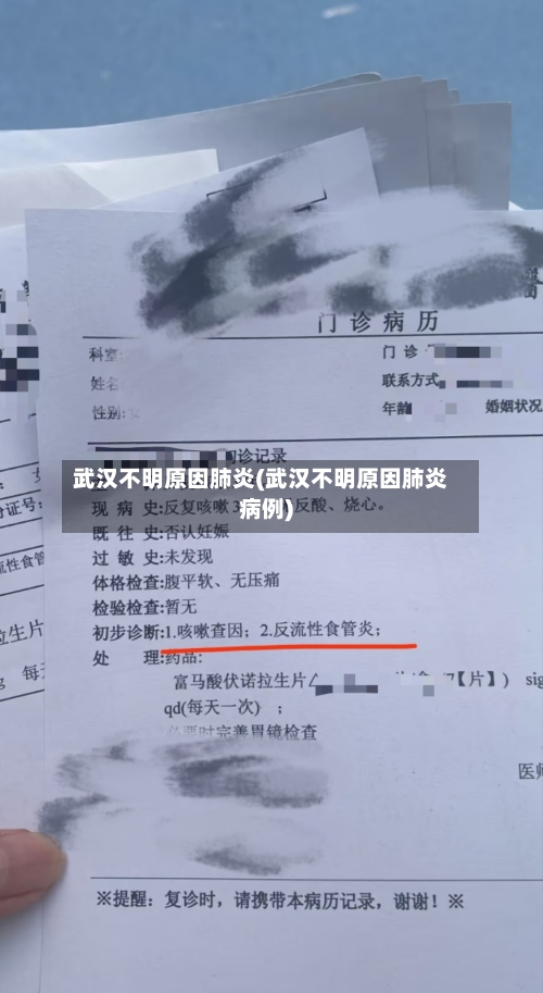 武汉不明原因肺炎(武汉不明原因肺炎病例)