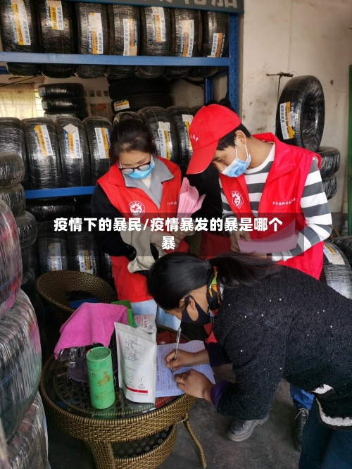 疫情下的暴民/疫情暴发的暴是哪个暴