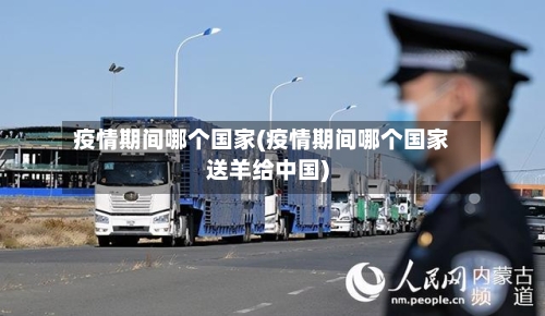 疫情期间哪个国家(疫情期间哪个国家送羊给中国)