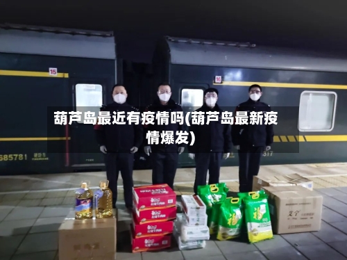 葫芦岛最近有疫情吗(葫芦岛最新疫情爆发)-第2张图片