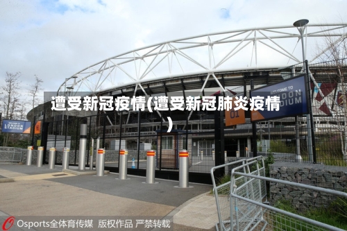 遭受新冠疫情(遭受新冠肺炎疫情)