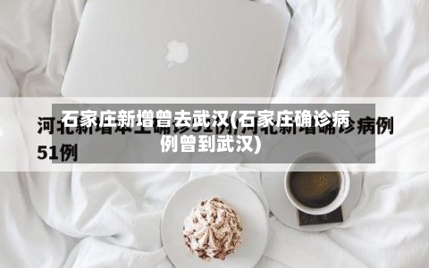 石家庄新增曾去武汉(石家庄确诊病例曾到武汉)