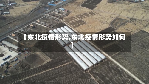 【东北疫情形势,东北疫情形势如何】