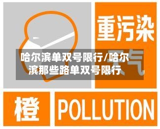 哈尔滨单双号限行/哈尔滨那些路单双号限行-第3张图片