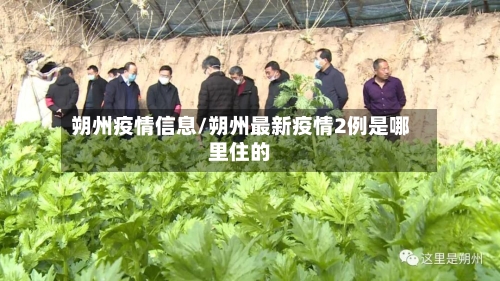 朔州疫情信息/朔州最新疫情2例是哪里住的