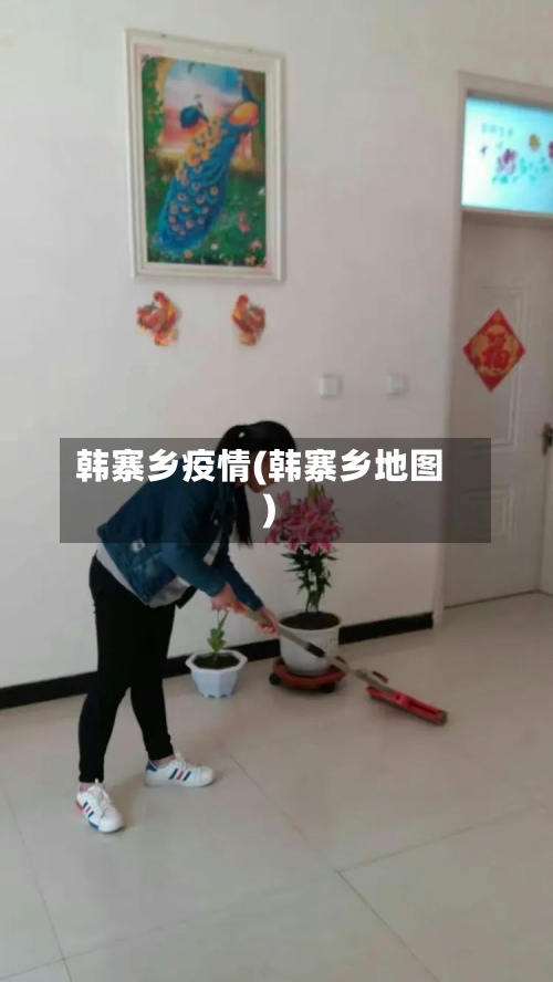 韩寨乡疫情(韩寨乡地图)
