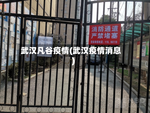 武汉凡谷疫情(武汉疫情消息)