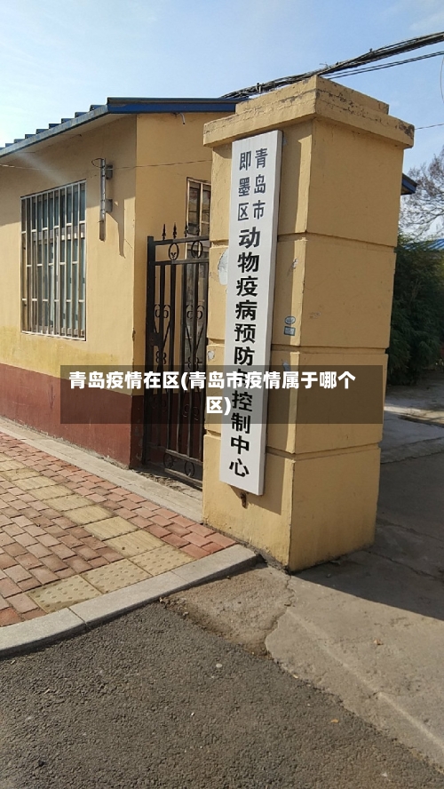 青岛疫情在区(青岛市疫情属于哪个区)
