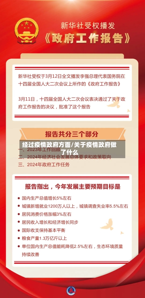 经过疫情政府方面/关于疫情政府做了什么