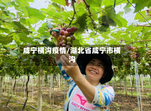 咸宁横沟疫情/湖北省咸宁市横沟-第3张图片