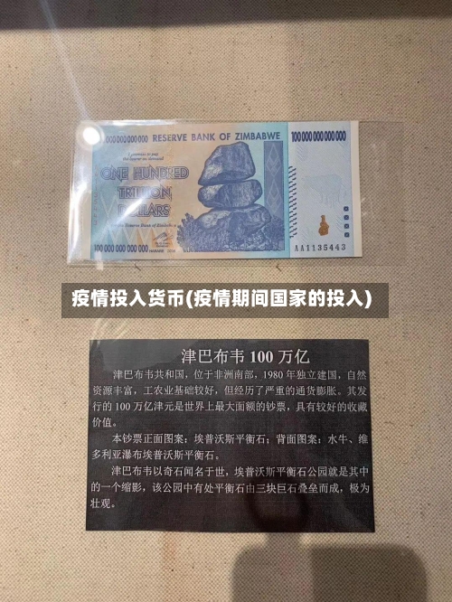 疫情投入货币(疫情期间国家的投入)