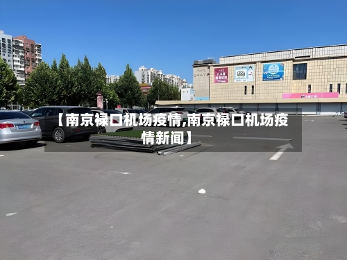 【南京禄口机场疫情,南京禄口机场疫情新闻】-第3张图片