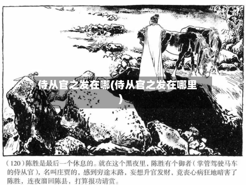 侍从官之发在哪(侍从官之发在哪里)-第3张图片