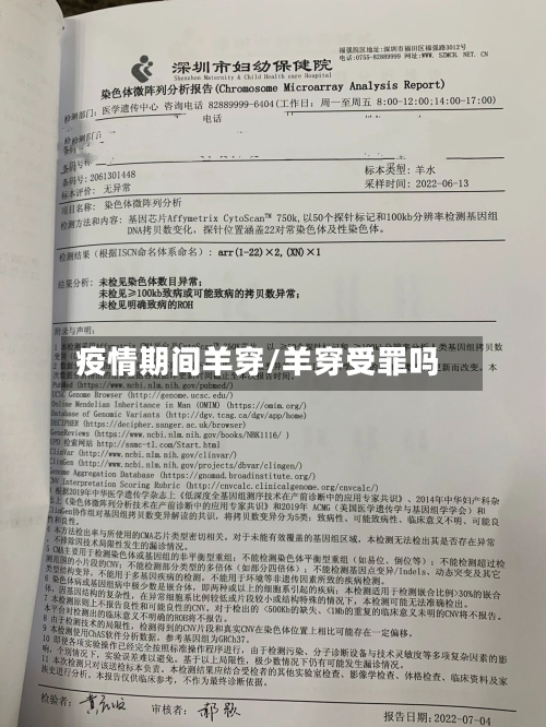 疫情期间羊穿/羊穿受罪吗-第2张图片